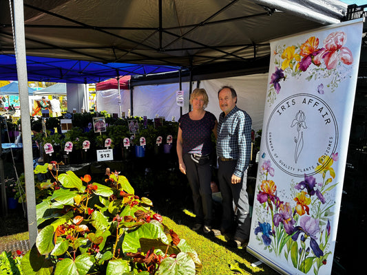From Hobby to Nursery : The Story of Iris Affair in the Perth Hills