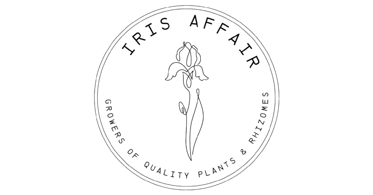 Iris affair iris affair